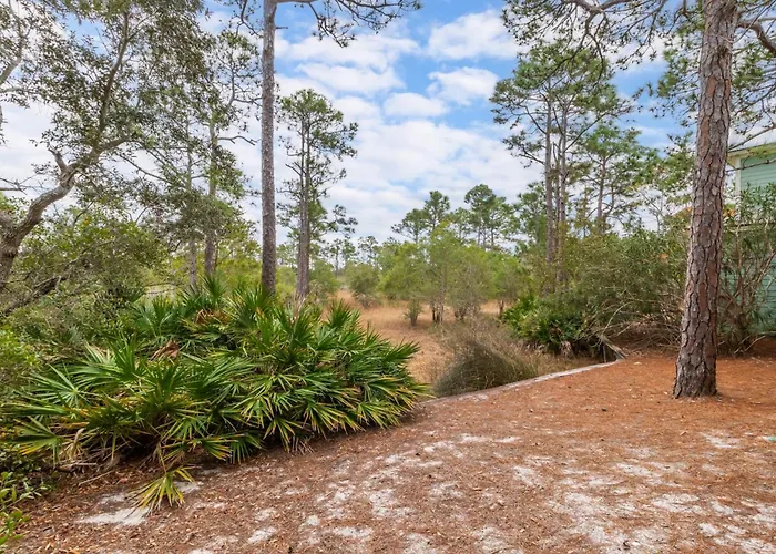 Mandevilla Gulf Shores
